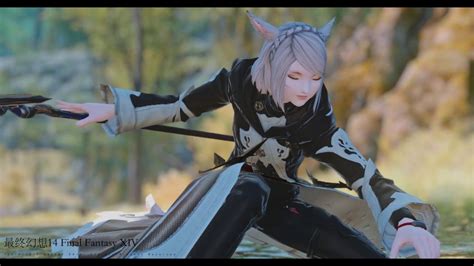 ff14 ehentai|Final Fantasy XIV Gpose Gallery .